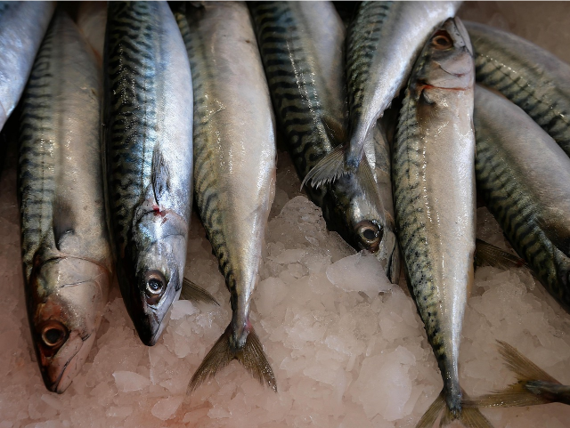 Seafood Storage Mistakes 
