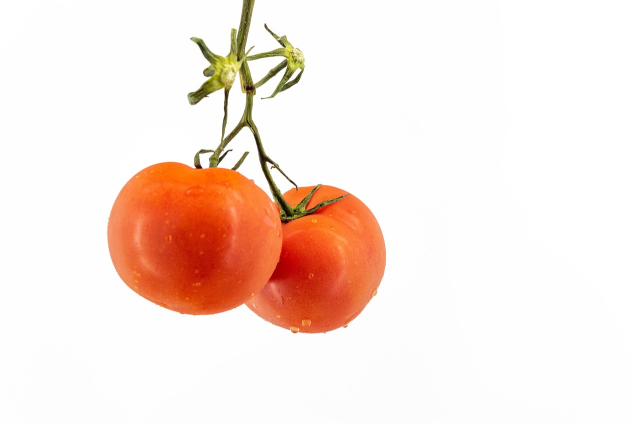 Vegetables storage mistakes
