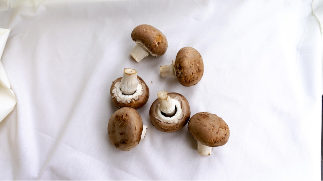 How to freeze mushrooms